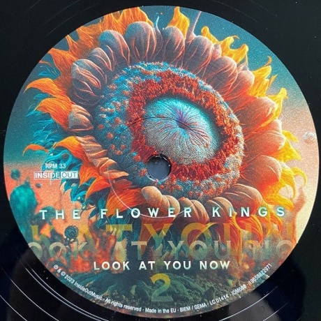 The Flower Kings - Look At You Now (0196588229718) виниловая пластинка - фото 7