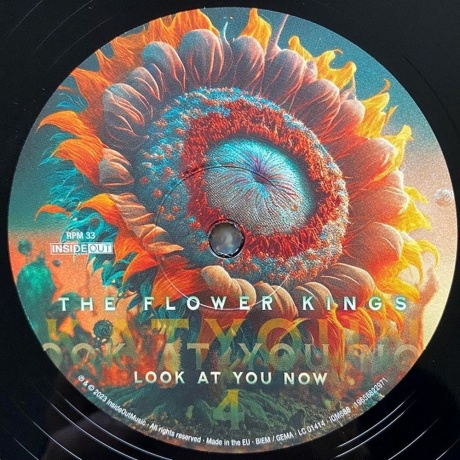 The Flower Kings - Look At You Now (0196588229718) виниловая пластинка - фото 9
