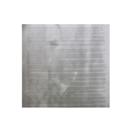 Prince - The Gold Experience (0194399359617) виниловая пластинка - фото 7