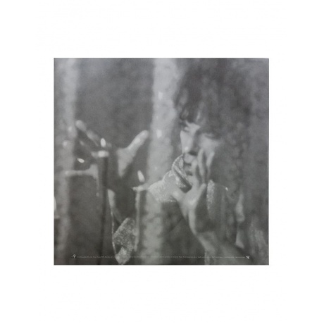 Prince - The Gold Experience (0194399359617) виниловая пластинка - фото 10