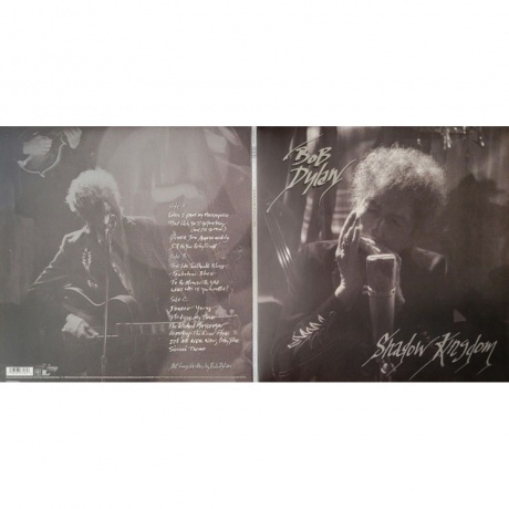 Bob Dylan - Shadow Kingdom (0196587674816) виниловая пластинка - фото 17