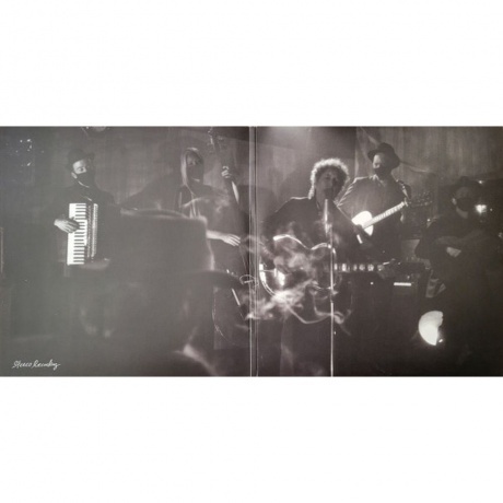 Bob Dylan - Shadow Kingdom (0196587674816) виниловая пластинка - фото 18