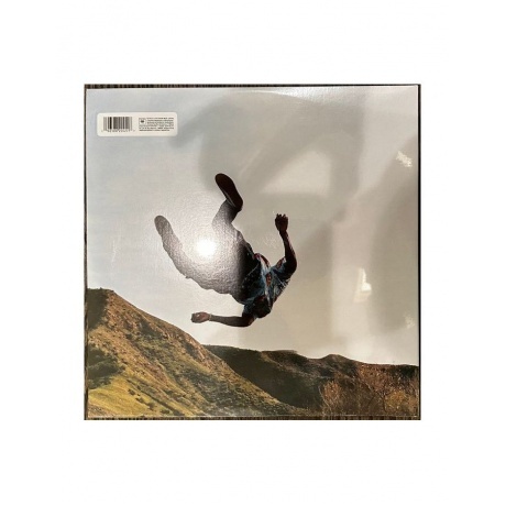 0196588204517, Tyler, The Creator, Wolf (coloured) виниловая пластинка - фото 2