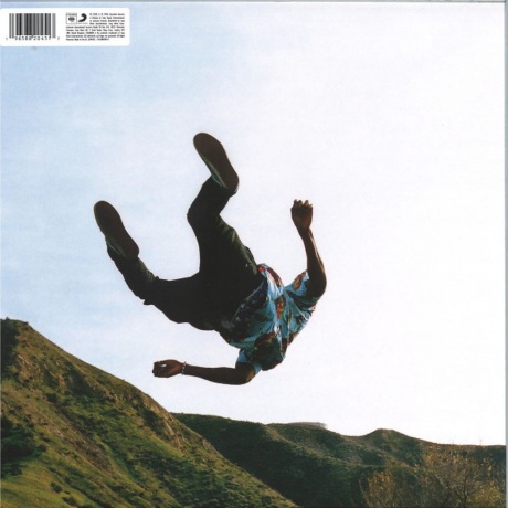 The Creator Tyler - Wolf (coloured) (0196588204517) виниловая пластинка - фото 2