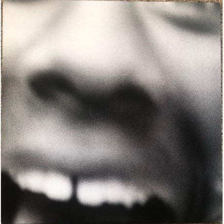 The Creator Tyler - Wolf (coloured) (0196588204517) виниловая пластинка - фото 3