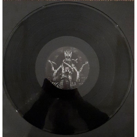 Necrophobic - Womb Of Lilithu (0194399957813) виниловая пластинка - фото 4