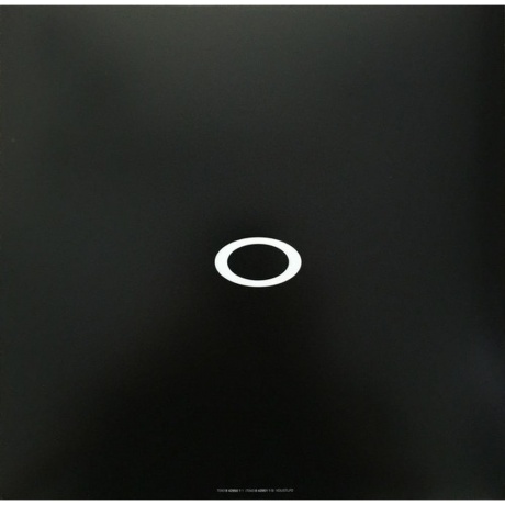 The Chemical Brothers - Dig Your Own Hole (0724384295011) виниловая пластинка - фото 6