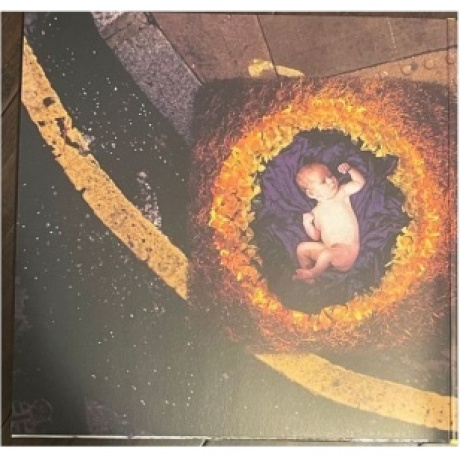 The Cranberries - To The Faithful Departed - deluxe (0602455709479) виниловая пластинка - фото 2