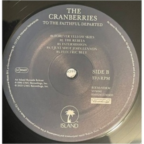 The Cranberries - To The Faithful Departed - deluxe (0602455709479) виниловая пластинка - фото 11