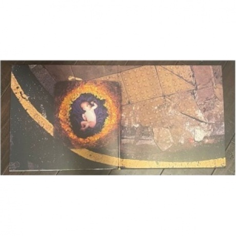 The Cranberries - To The Faithful Departed - deluxe (0602455709479) виниловая пластинка - фото 4