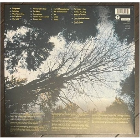 The Cranberries - To The Faithful Departed - deluxe (0602455709479) виниловая пластинка - фото 5