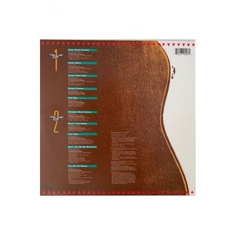 Lynyrd Skynyrd - Skynyrd's Innyrds (0602567900979) виниловая пластинка - фото 2