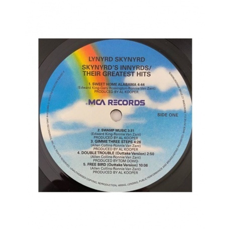 Lynyrd Skynyrd - Skynyrd's Innyrds (0602567900979) виниловая пластинка - фото 3