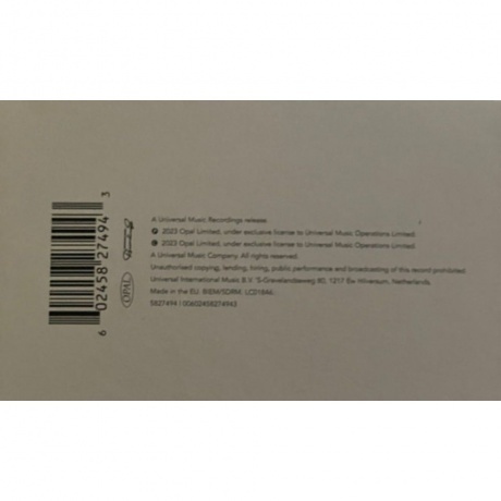 Brian Eno - The Ship (coloured) (0602458274943) виниловая пластинка - фото 10