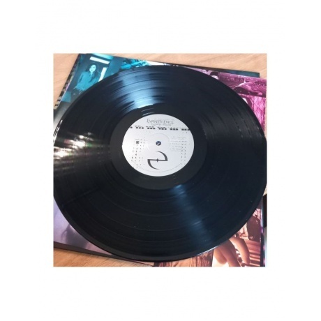 Evanescence - Fallen (0888072545489) виниловая пластинка - фото 11