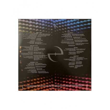 Evanescence - Fallen (0888072545489) виниловая пластинка - фото 4