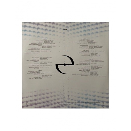 Evanescence - Fallen (0888072545489) виниловая пластинка - фото 5