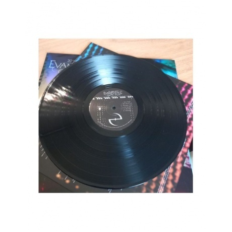 Evanescence - Fallen (0888072545489) виниловая пластинка - фото 6