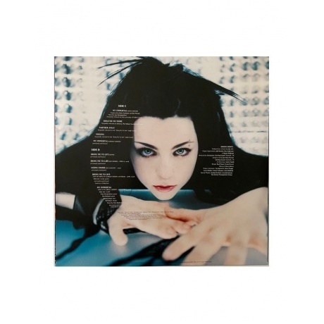 Evanescence - Fallen (0888072545489) виниловая пластинка - фото 9