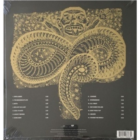 The Offspring - Ixnay On The Hombre (coloured) (0602557960839) виниловая пластинка - фото 5