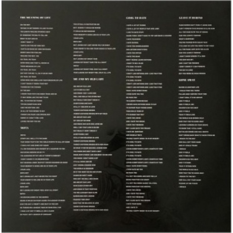 The Offspring - Ixnay On The Hombre (coloured) (0602557960839) виниловая пластинка - фото 8