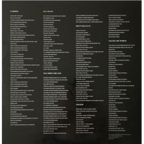 The Offspring - Ixnay On The Hombre (coloured) (0602557960839) виниловая пластинка - фото 9