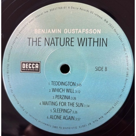 Benjamin Gustafsson - The Nature Within (0602455483102) виниловая пластинка - фото 6