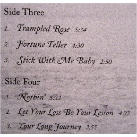 Robert Plant &amp; Alison Krauss - Raising Sand (0011661907515) виниловая пластинка - фото 16