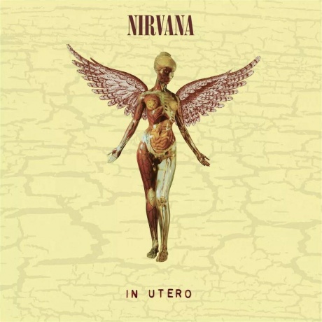 0602455178589, Виниловая пластинка Nirvana, In Utero - deluxe - фото 1