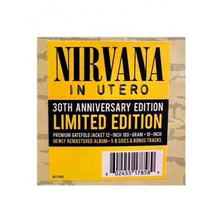 0602455178589, Виниловая пластинка Nirvana, In Utero - deluxe - фото 13