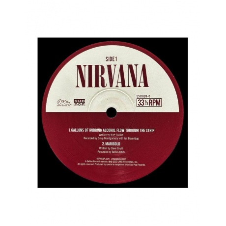 0602455178589, Виниловая пластинка Nirvana, In Utero - deluxe - фото 10