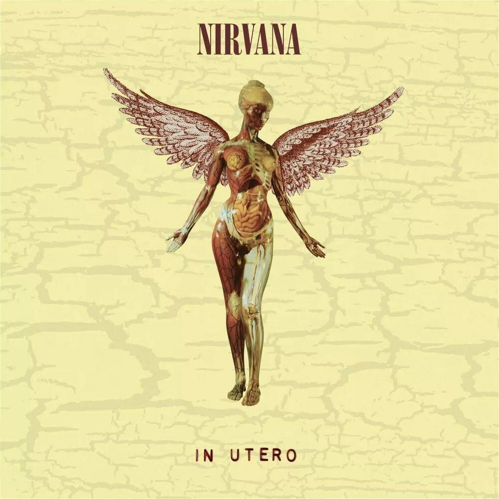 nirvana nirvana in utero 180 gr 0602455178589, Виниловая пластинка Nirvana, In Utero - deluxe