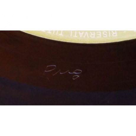 Gruppo D'Alternativa - Ipotesi (0602438264384) виниловая пластинка - фото 10