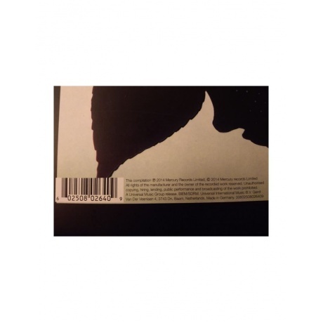 0602508026409, Thin Lizzy, Black Rose виниловая пластинка - фото 7