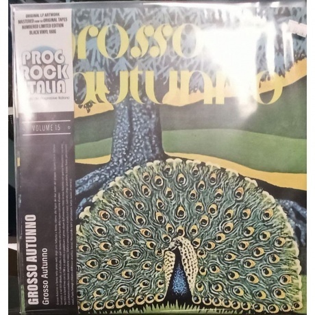 

Grosso Autunno - Grosso Autunno (0602438264445) виниловая пластинка