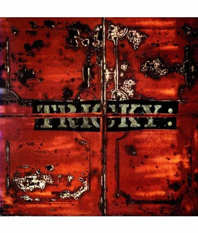 0602448849168, Виниловая пластинка Tricky, Maxinquaye