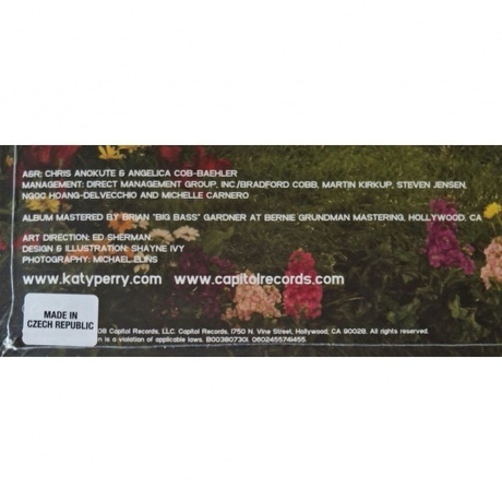 Katy Perry - One Of The Boys (0602455741455) виниловая пластинка - фото 8