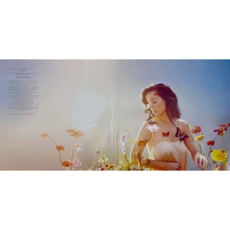 Katy Perry - Prism (0602455734600) виниловая пластинка - фото 2