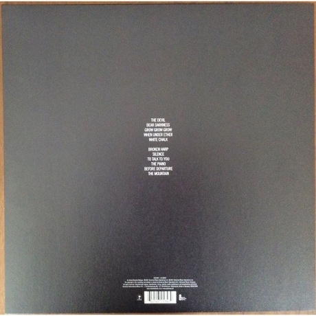 PJ Harvey - White Chalk (0602507253479) виниловая пластинка - фото 2