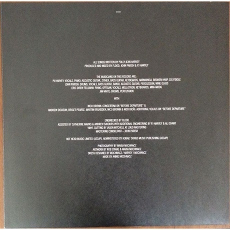 PJ Harvey - White Chalk (0602507253479) виниловая пластинка - фото 6