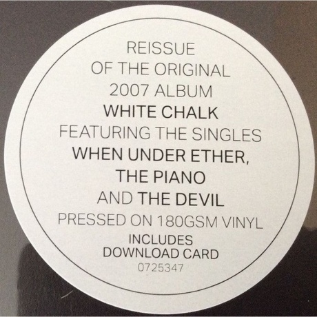 PJ Harvey - White Chalk (0602507253479) виниловая пластинка - фото 8