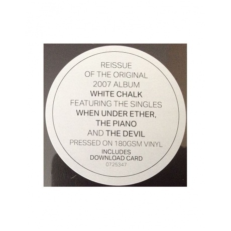 PJ Harvey - White Chalk (0602507253479) виниловая пластинка - фото 9