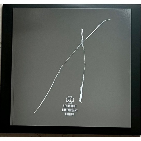 Rammstein - Sehnsucht - deluxe (0602448220752) виниловая пластинка - фото 12