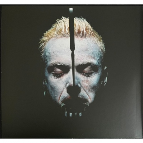 Rammstein - Sehnsucht - deluxe (0602448220752) виниловая пластинка - фото 5