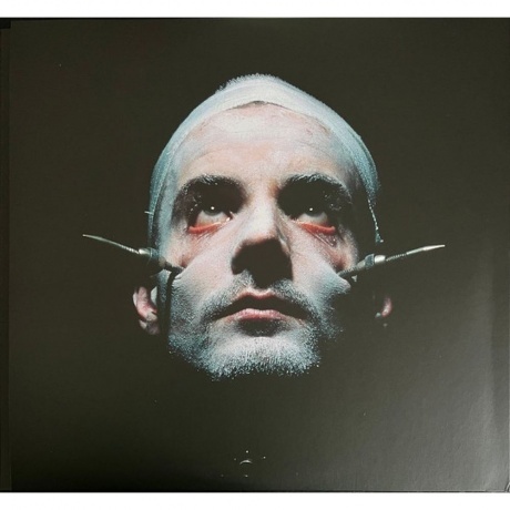 Rammstein - Sehnsucht - deluxe (0602448220752) виниловая пластинка - фото 6