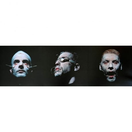 Rammstein - Sehnsucht - deluxe (0602448220752) виниловая пластинка - фото 9