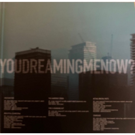 Steven Wilson - The Harmony Codex (coloured) (0044003353008) виниловая пластинка - фото 4