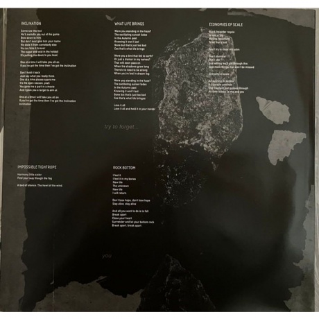 Steven Wilson - The Harmony Codex (coloured) (0044003353008) виниловая пластинка - фото 7