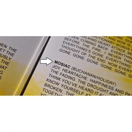 Rival Sons - Lightbringer (0075678622137) виниловая пластинка - фото 9