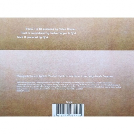 Bjork - Debut (5016958018818) виниловая пластинка - фото 5